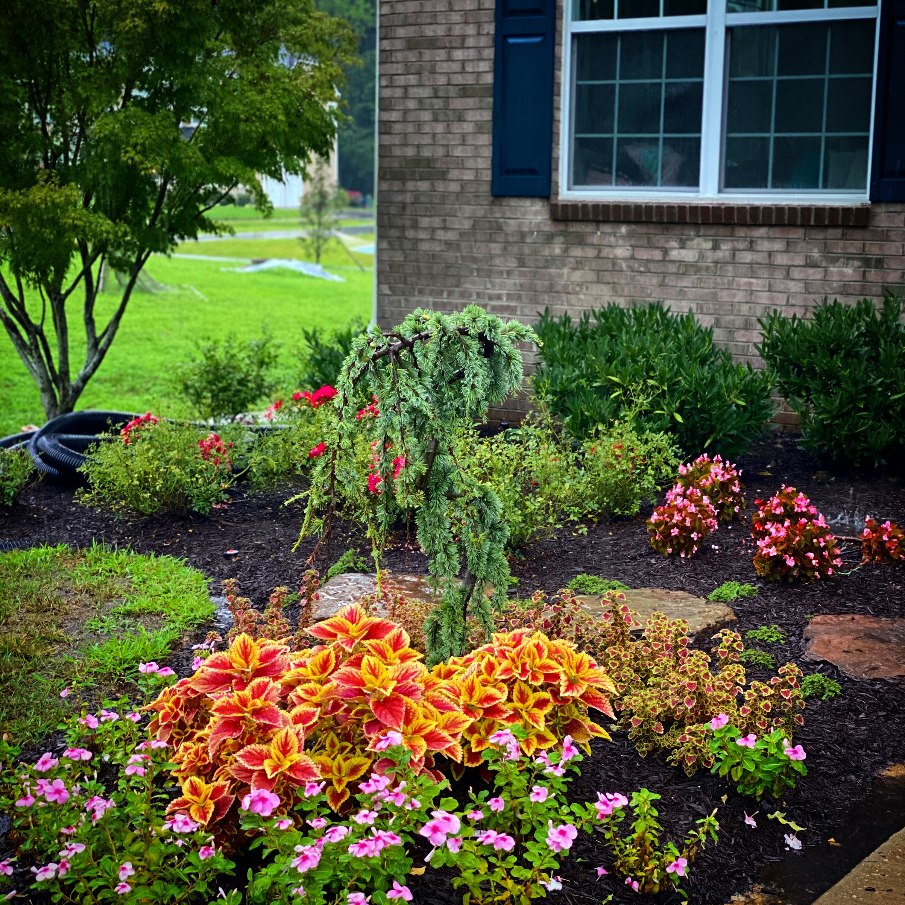 Front-yard planting bed and stone landscape details at a brick home